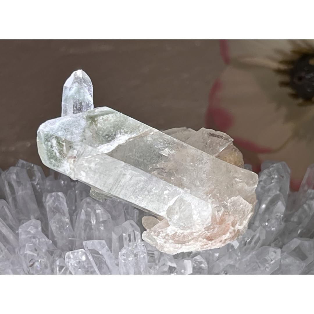 Amazon.co.jp: マニカラン産 ファントム ピンクヒマラヤ 水晶