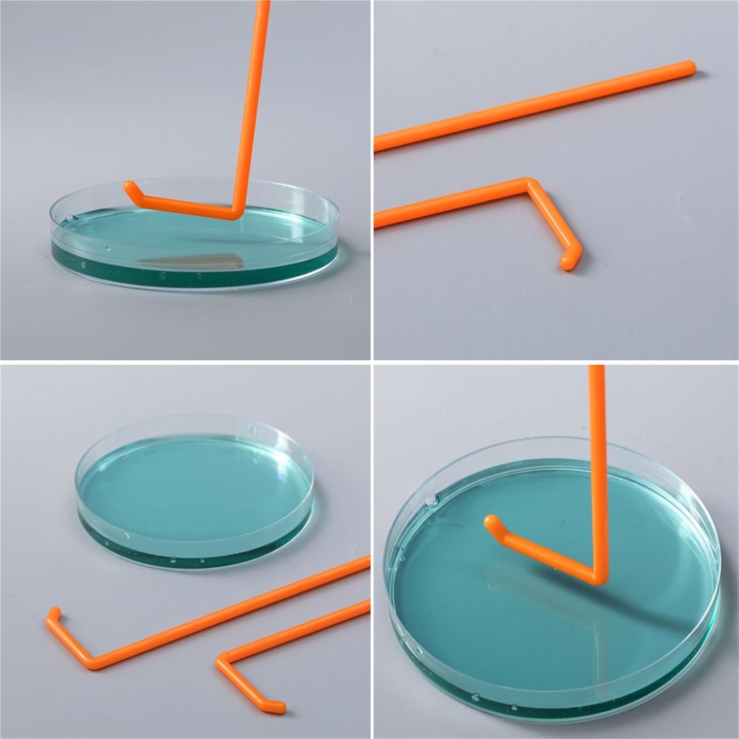 50pcs 100pcs Lab Glass Plastic L-Shape Cell Spreader for Petri Dish Cells Push and Scrape Laboratory Experiment(100pcs)