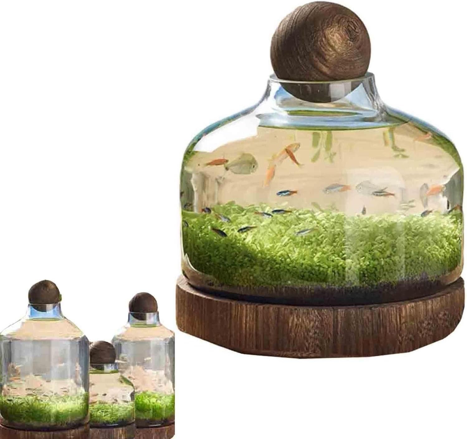 Fish Bowl Vase Desktop Clear Glass Fish Tank Aquarium Fish Plants Terrarium Home Office Decoration Gifts, B