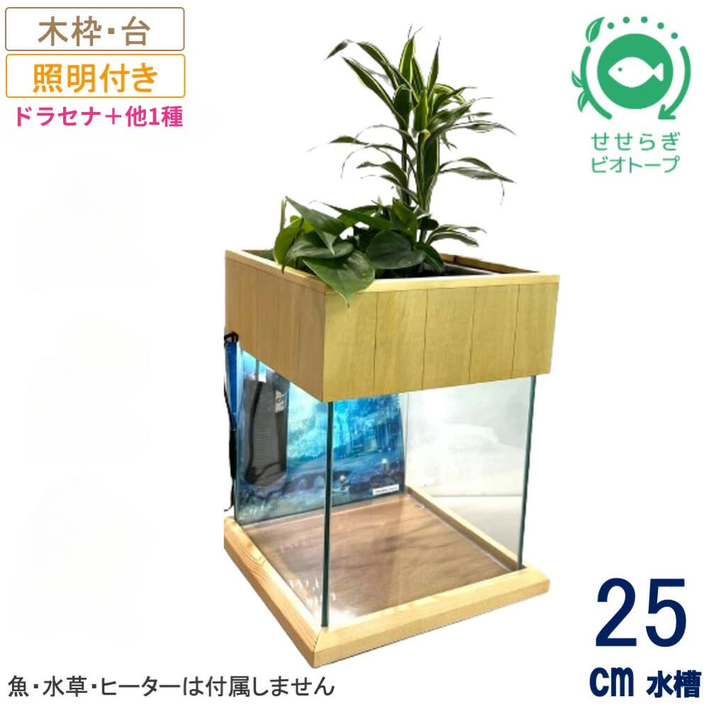 せせらぎビオトープ　25cm型 25cm型 せせらぎビオトープ 基本シンプルセット(グレー) 照明なし