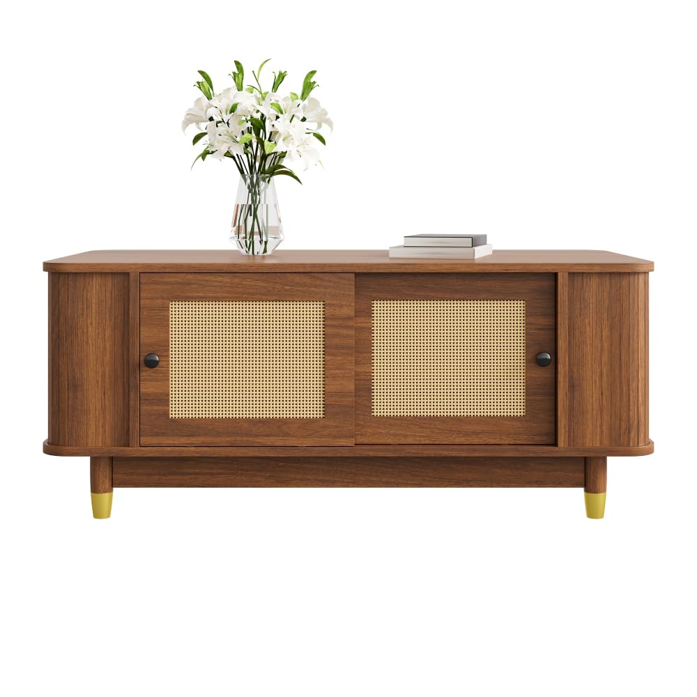 Table basse rotin moderne pour ranger vos livres de salon