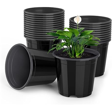 5 Inch Plastic Pots for Plants: Nurture Your Botanical Beauties