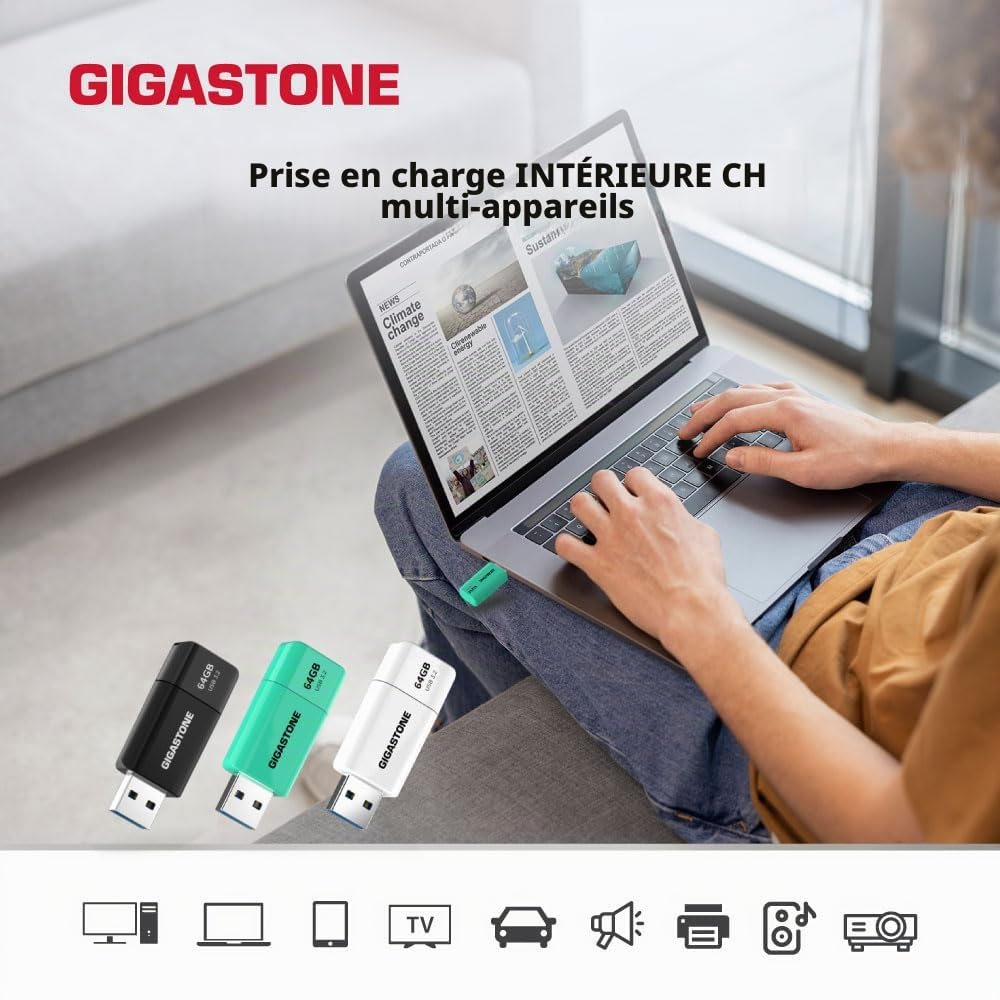 GIGASTONE 512Go Clé USB Flash (Lot de 2) Z60 USB 3.2 Gen 1, 100Mo/s Ultra Rapide, sans Capuchon, Stockage et Sauvegarde pour PC/Mac/TV/Voiture, USB 2.0/3.0/3.1 Compatible