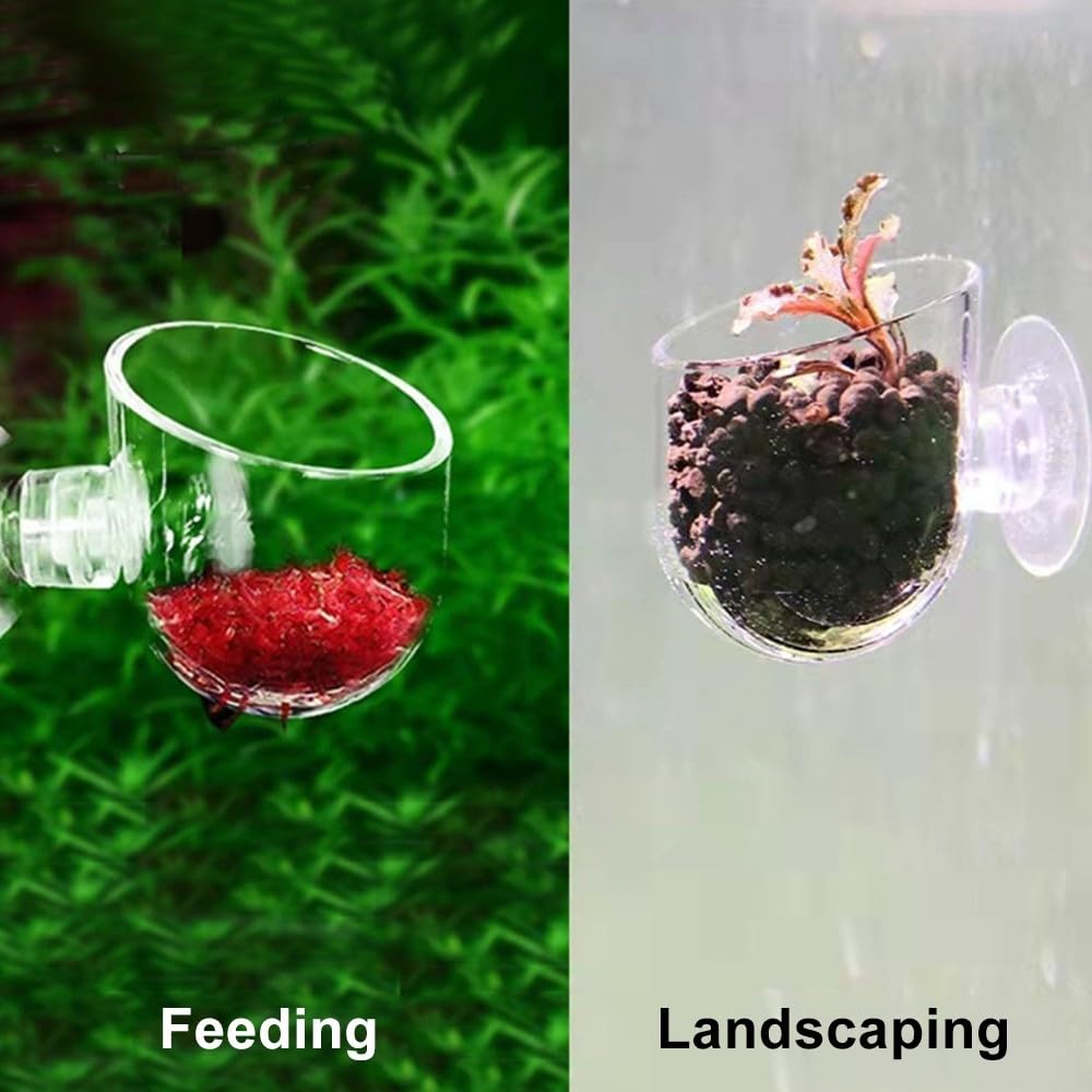 Supporto Per Piante Acquatiche Con Ventosa Per Acquario - Vaso In Acrilico Trasparente