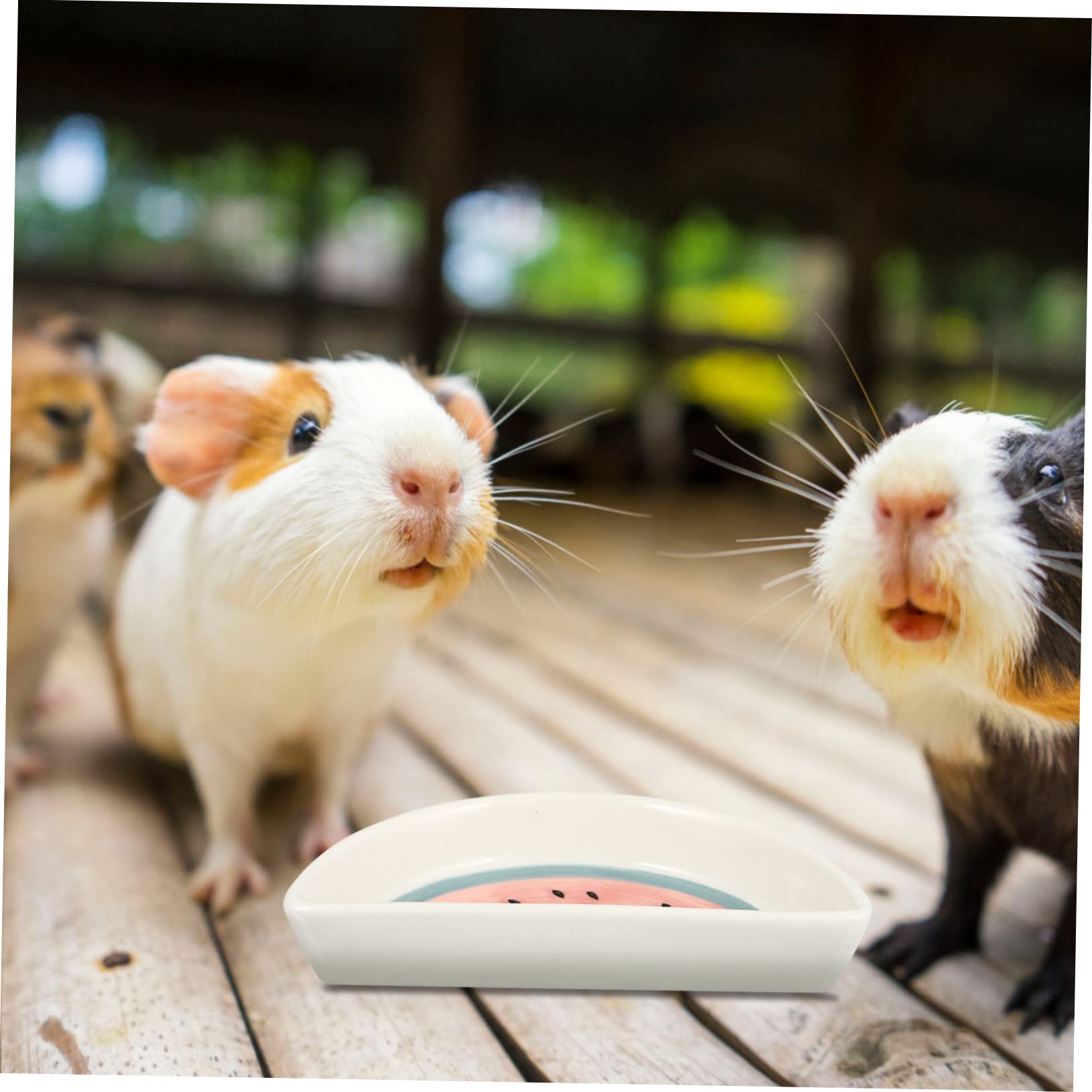 Ciotola Ceramica A Forma Di Carota Per Animali - Per Criceti E Gerbilli, 13.5 Cm - Foto 9