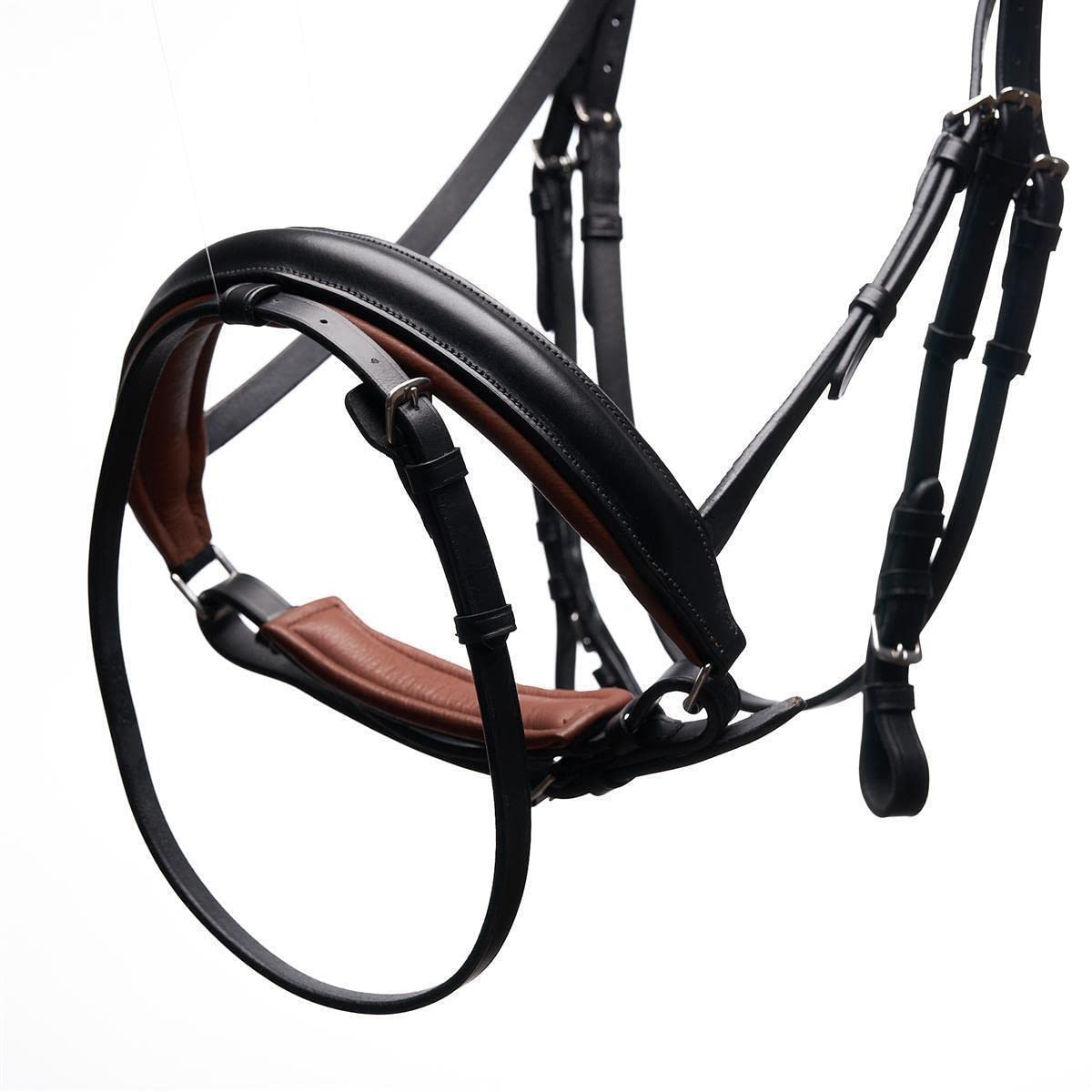 Trense Chocolate Diamond Warmblut
