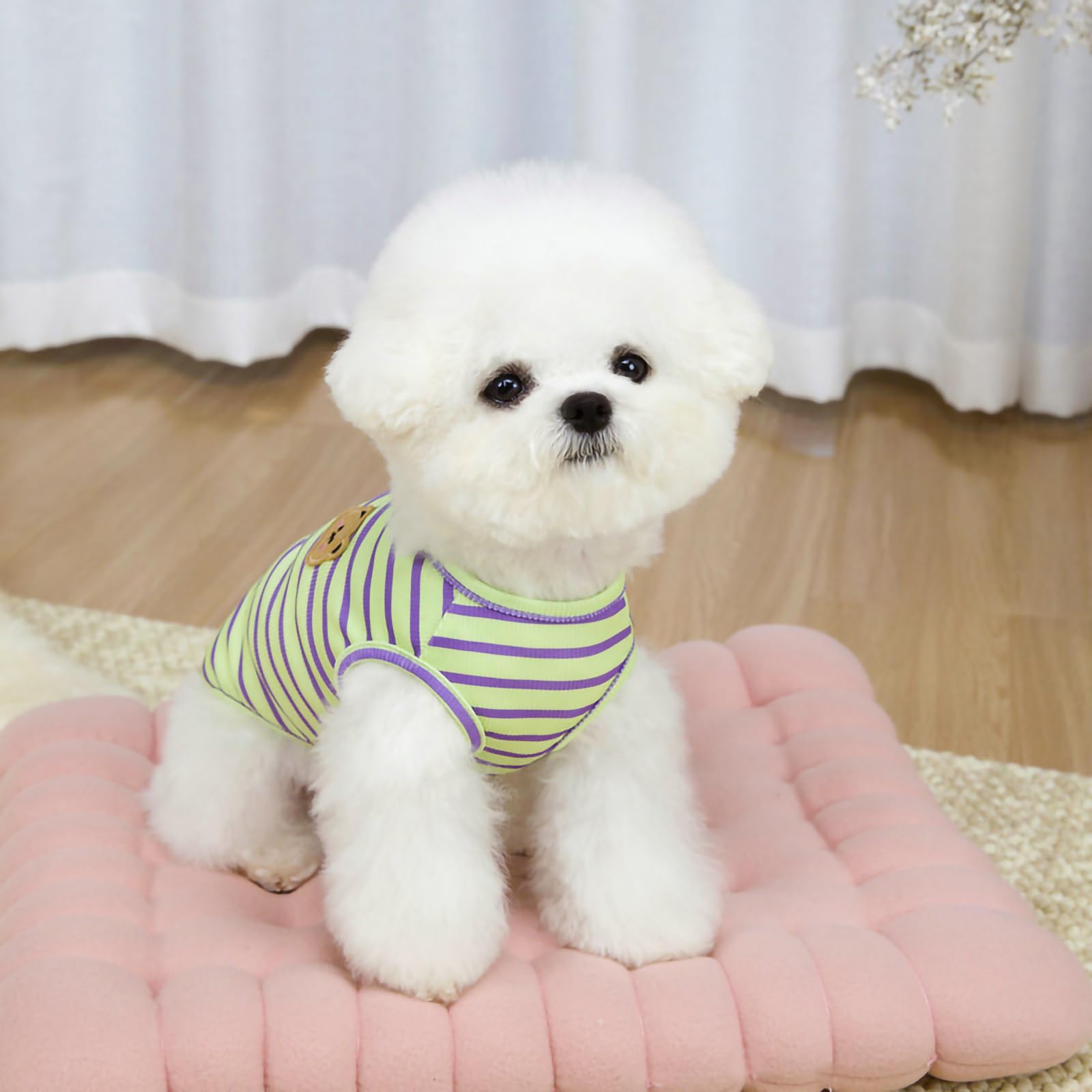 Amazon | JYIXTN 犬服 春夏用 ボーダー 背中開き タンクトップ 薄手
