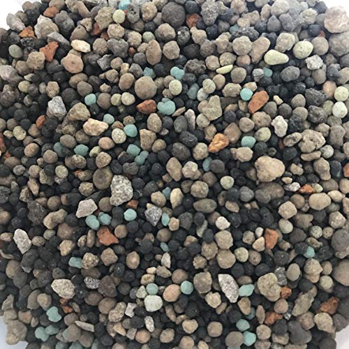 26 Best Bonsai Fertilizers Reviews By Wirecutter