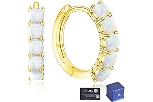 Huggie Earrings for Women 14K Gold