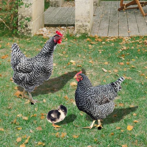 Fenayuu Metall Chicken Yard Stakes | Gartendeko 3er Set Hühner | Küken Set Huhn Gartenstecker Set - Rooster Animal Stakes Für Ostern Frühling Garten Balkon Terrasse