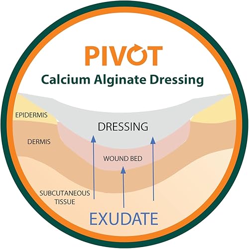 Miniatura 4 de Pivot Apósito para heridas de alginato de calcio  Primeros Auxilios Naturales  Apósitos 4x5, Caja de 10