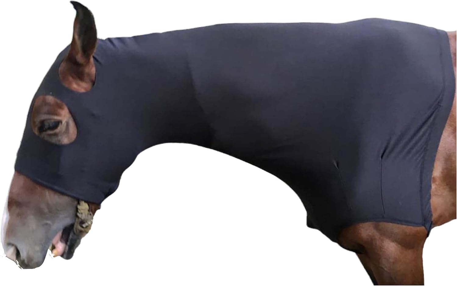 Majestic Ally Stretch Spandex Horse Hood with Zipper for Horses (Large, Black, 100% Heavy Spandex)