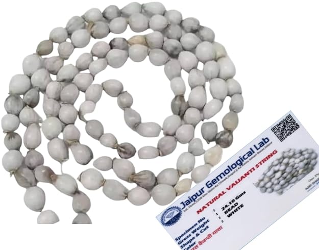 Vaijanti Mala – Divine Attraction