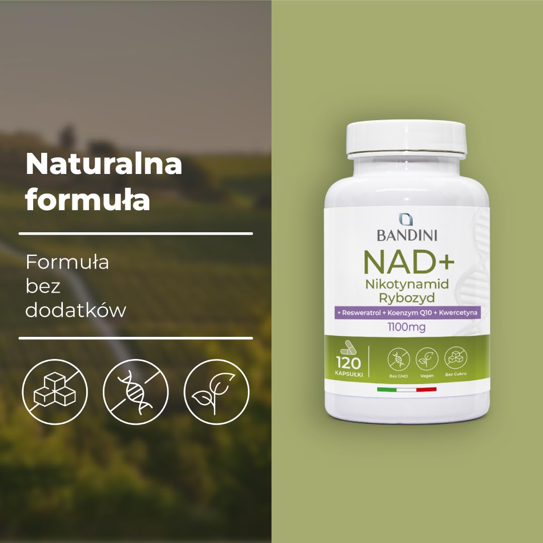 Bandini® Liposomalny NAD+ | 120 kapsułek wegańskich | NAD chlorkiem rybozydu nikotynamidu z kwercetyną, resweratrolem, koenzymem Q10 | Przeciwstarzeniowy, Energia komórkowa | 11100 mg na dawkę dzienną