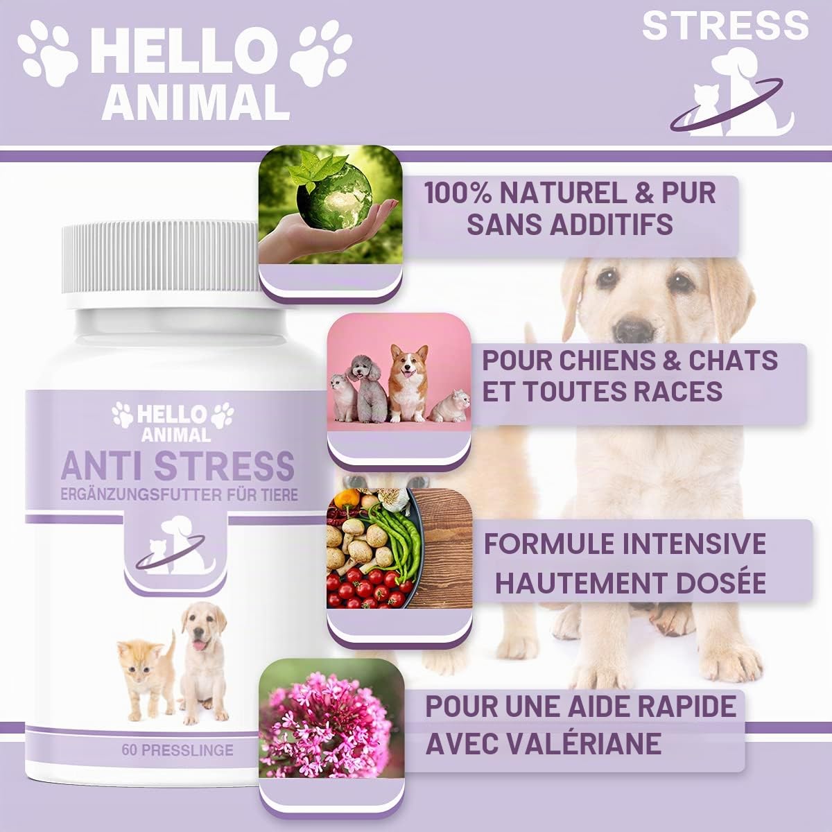 Hello Animal Anti Stress Chien – Comprimés hautement dosés à la Valériane – calmant Naturel pour Chiens et Chats anxieux – réduit Le Stress – Le décontractant Contre Panique, anxiété et nervosité
