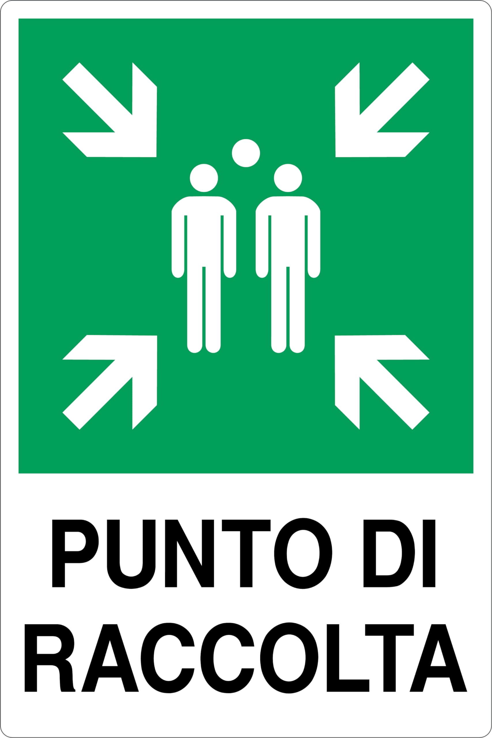 CARTELLO IN LAMIERA SCATOLATA RETTANGOLO 60X40 cm - PUNTO DI RACCOLTA - SEGNALE CATARIFRAGENTE (Classe 1)