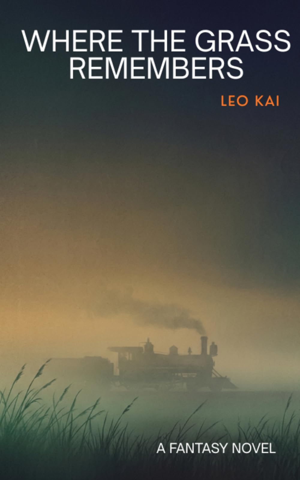 Where The Grass Remembers: a fantasy novel