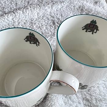 61fGvlhUXyL._AC_UF350,