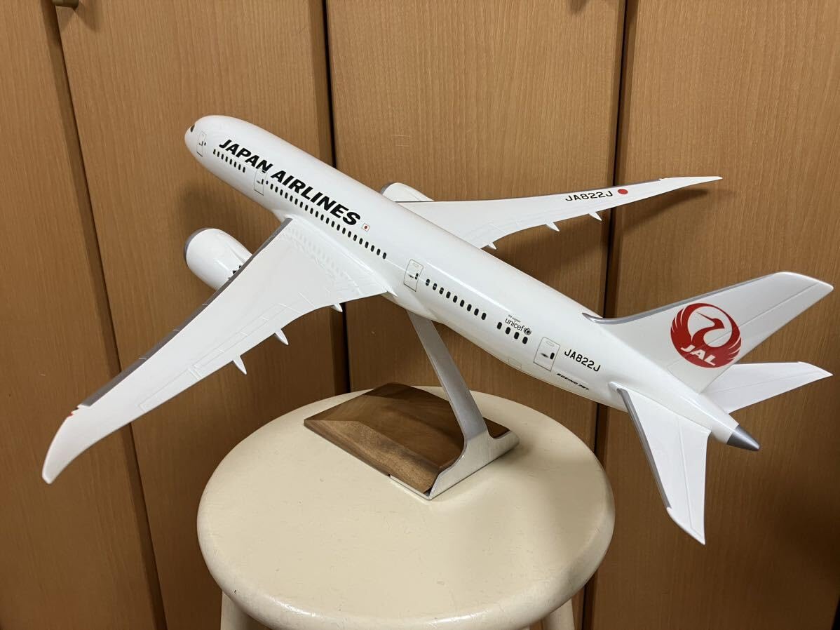 Amazon.co.jp: 1/100 PACMIN パックミン B787-8 JA822J 日本航空 JAL  
