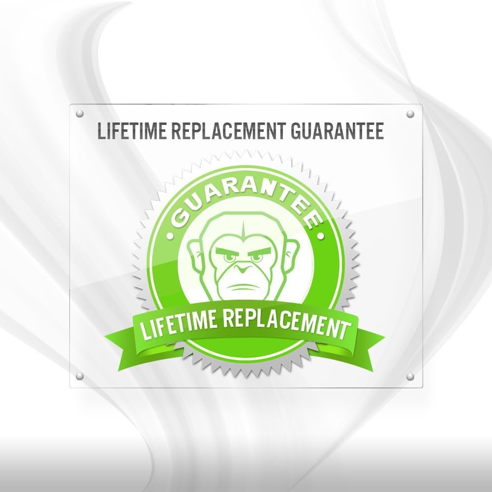 IQShield Screen Protector Compatible with Galaxy S10 6.1 (2-Pack)(Case Friendly) Anti-Bubble Clear TPU Film (NOT Compatible with Verizon Samsung S10 5G 6.7 inch)