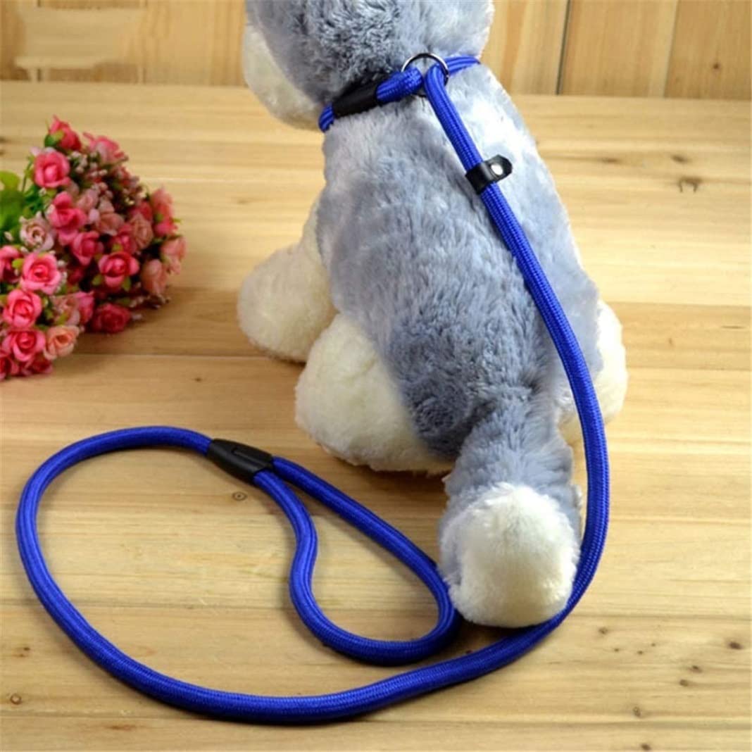 Guinzaglio Per Cani Guinzaglio Per Cani Da Compagnia Corda Per Addestramento Regolabile In Nylon Guinzaglio Per Cani Da Compagnia Cinghia Per Cani Corda Per Trazione Imbracatura Per Cani Guinzaglio Pe