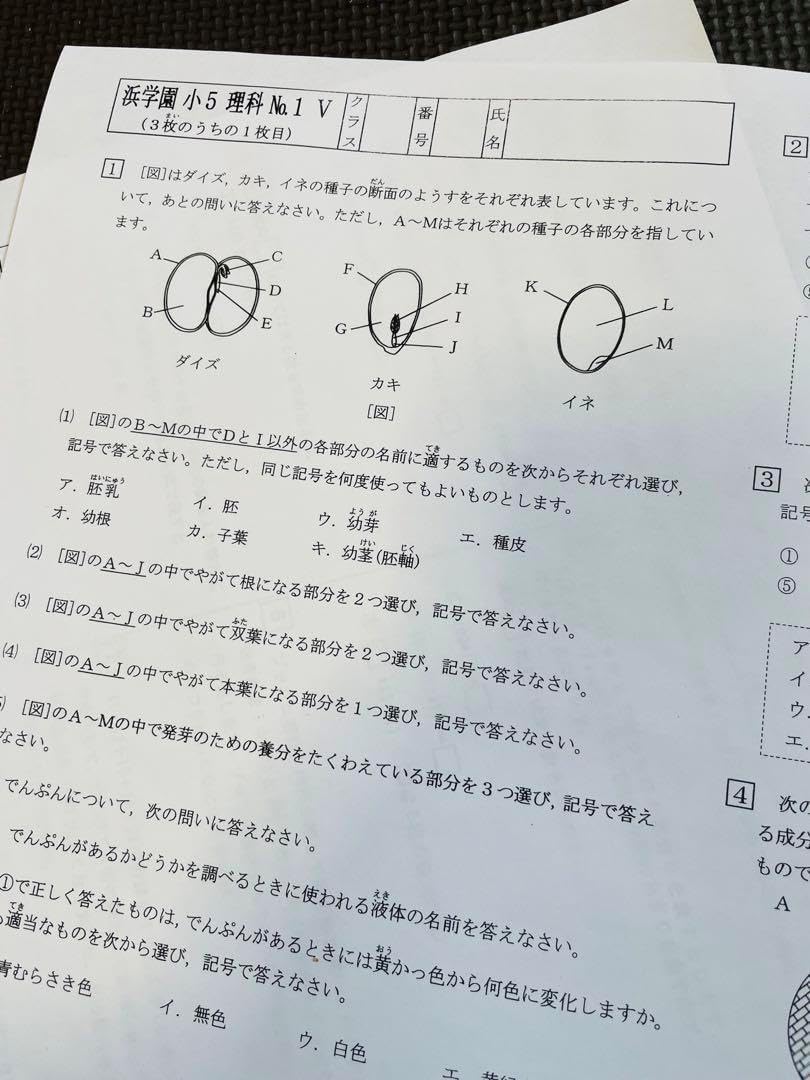 浜学園 小5 2023年度 復習テスト Vクラス 国語 解答用紙付き 最新版 【
