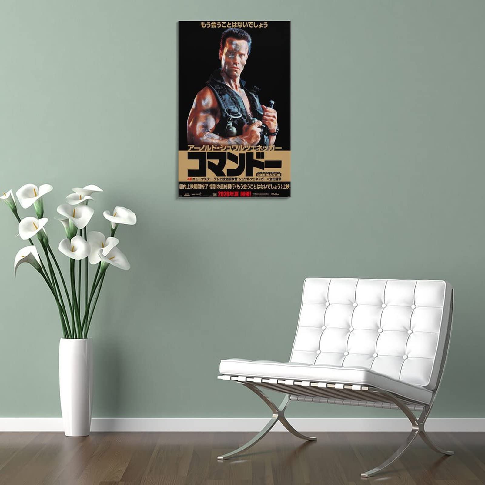 Amazon.co.jp: アーノルド・シュワルツェネッガー主演素晴らしい映画