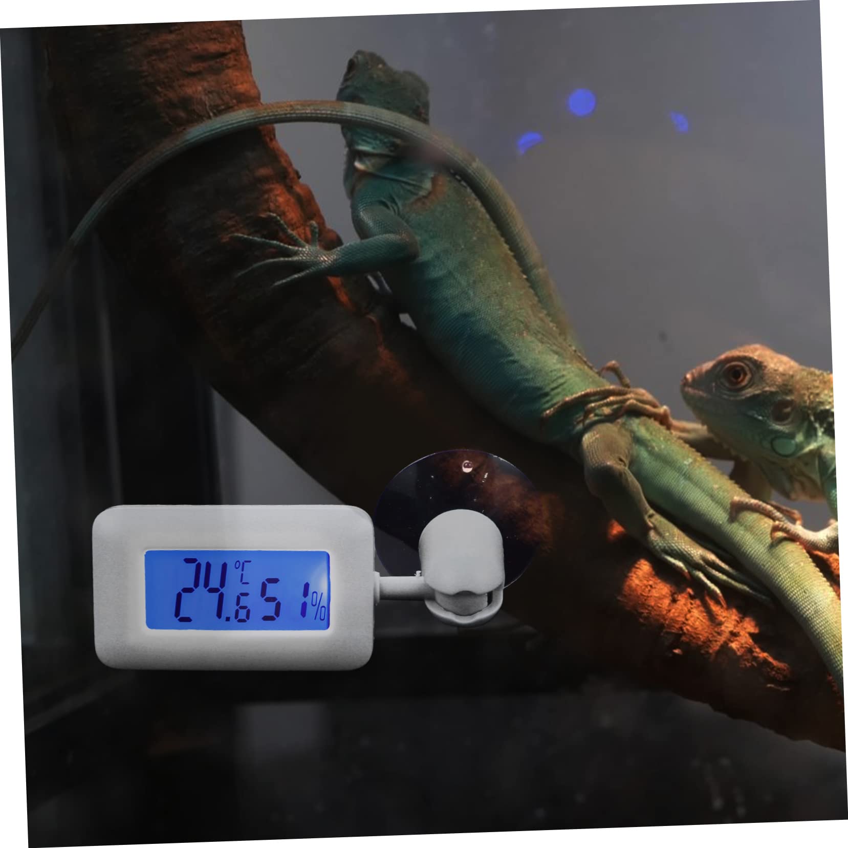 HANABASS 4stücke Thermometer Mit Rotationsfunktion Und Saugnapf Präzises Temperatur Und Hygrometer Für Aquarien Terrarien Und Reptilienboxen Installieren Große Anzeige Für Lesbarkeit