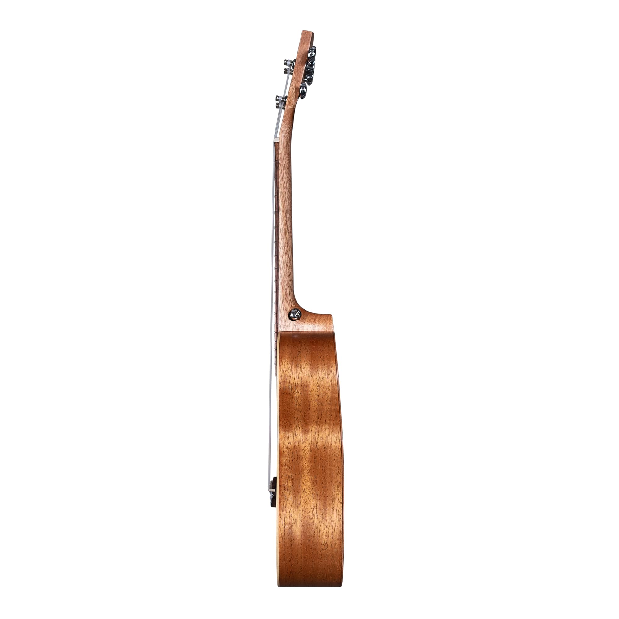 Tenor Ukulele Art Series Urban