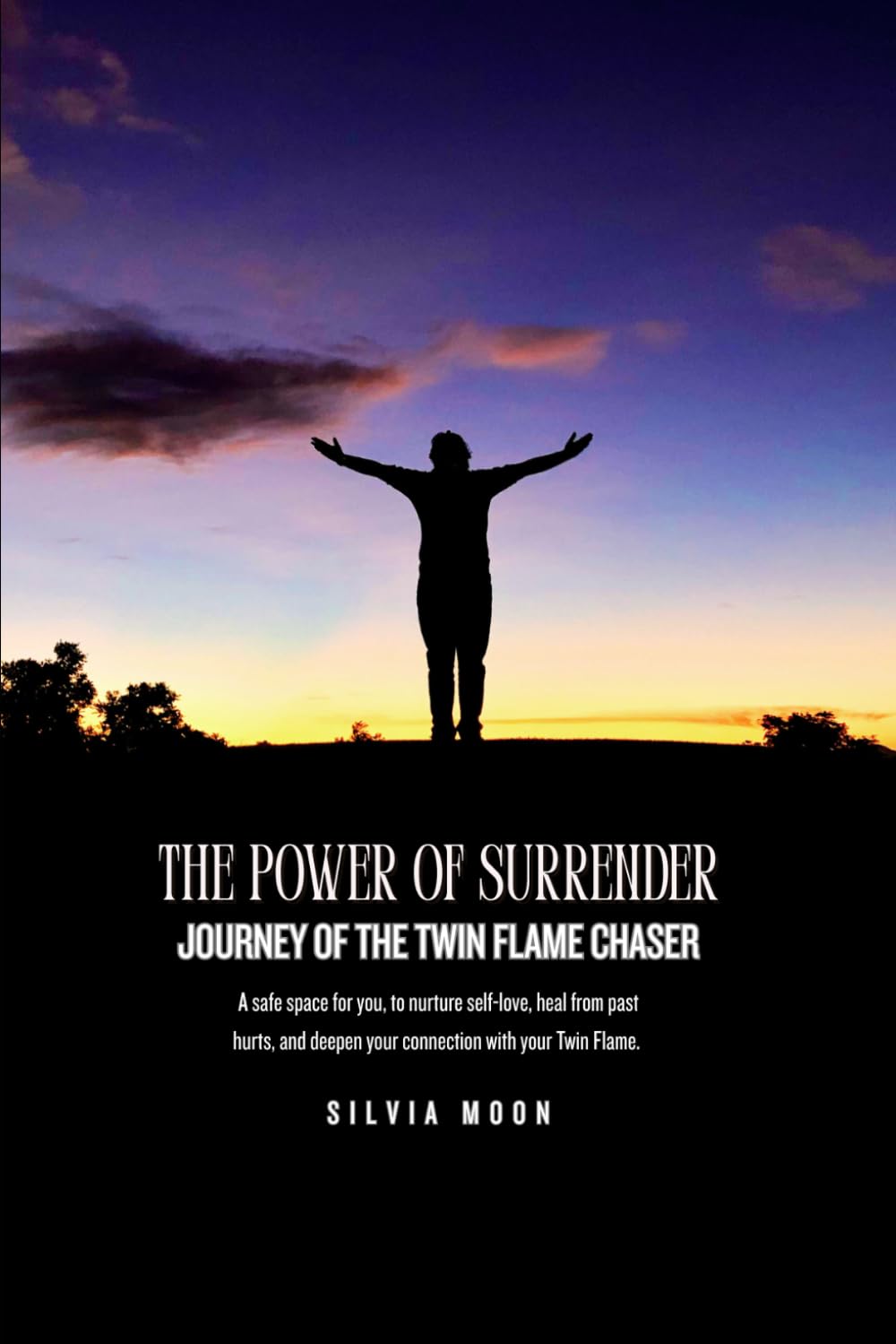 The Power of Surrender: Journey of the Twin Flame Chaser: 5 (Twin Flame Chaser Surrender)