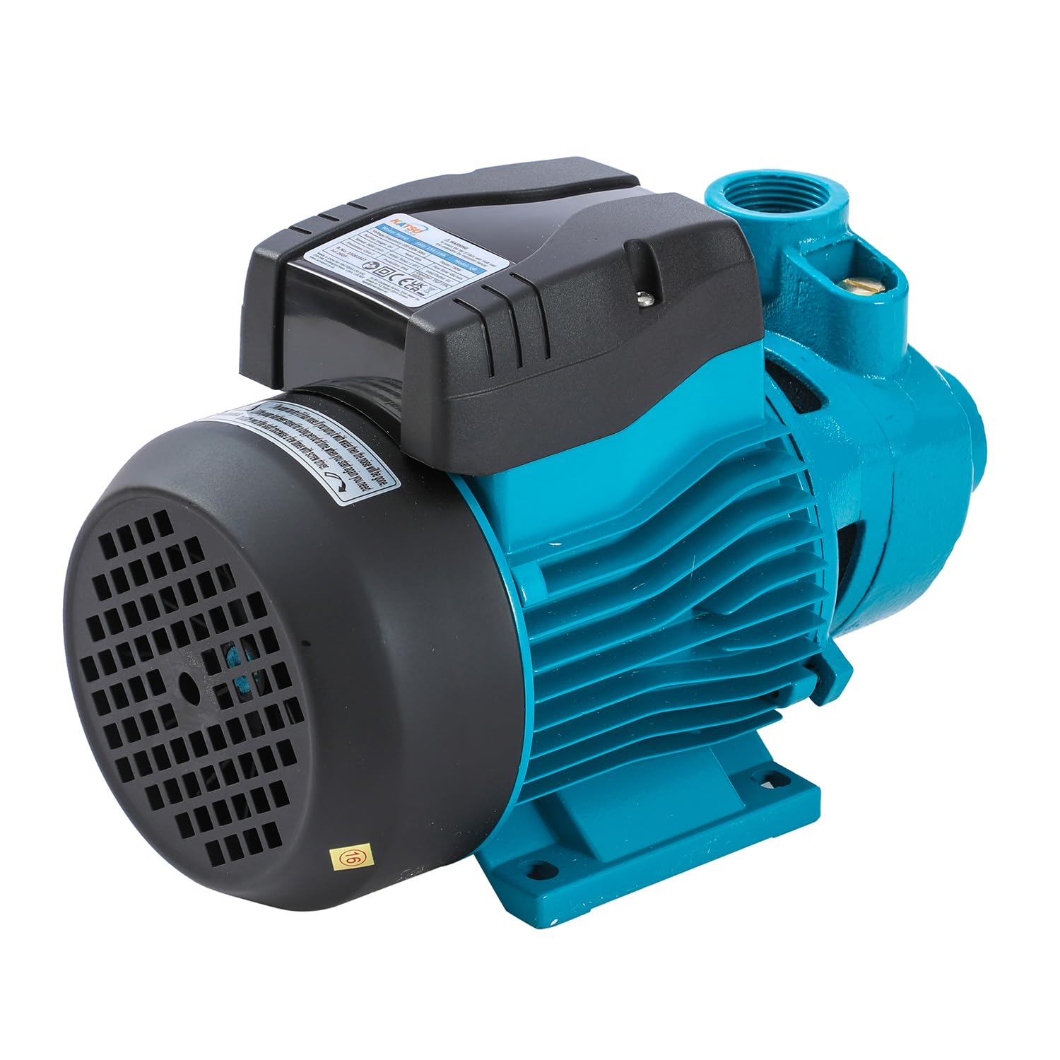 KATSU Elettropompa Periferica 1 HP 220V Pompa per Acqua Periferica Centrifuga Elettrica Industriale Per Acqua Pulita, per Giardini di Casa, Laghetti e Fattorie 151116