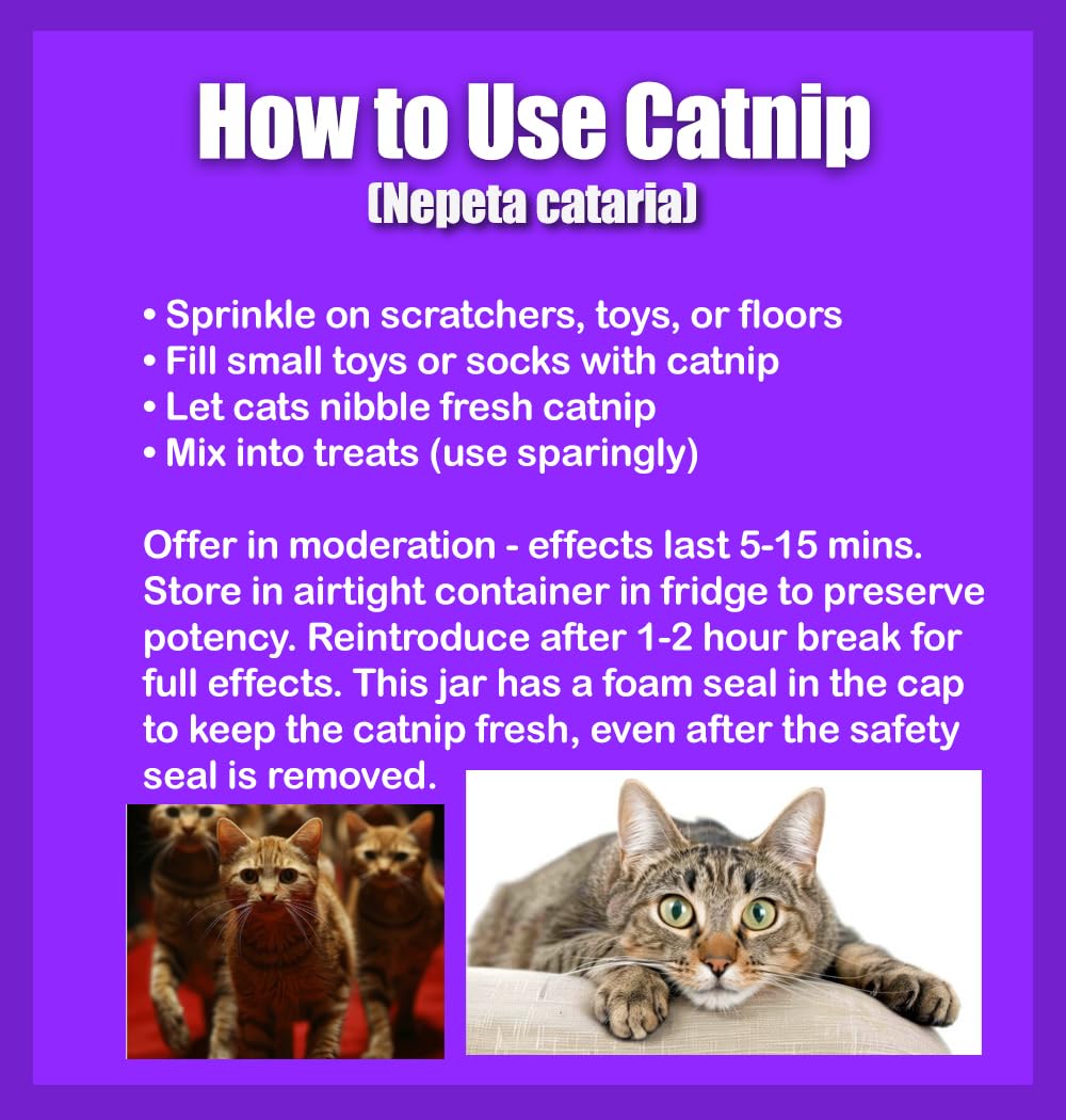 DesertUSA Catnip Blend - North American Crafted, 100% Natural, and Non-Addictive Catnip Treats for Enhanced Playfulness. Ideal for Complementing Catnip Toys (4 Cups) (32 oz)