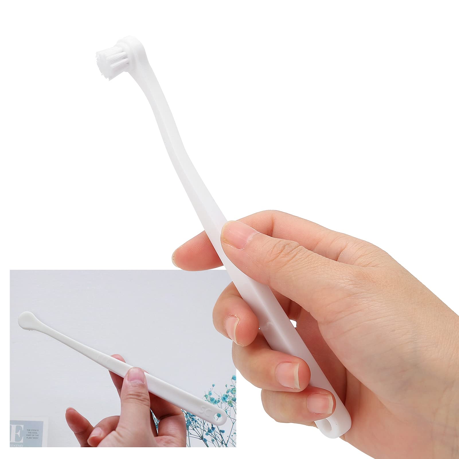 5 Pi¨¨ces Brosse ? Dents Animaux Compagnie,Brosse ? Dents Douce Confortable ? Long Manche,Brosse ? Dents ? T¨ºte Souple Chat 0,09 Mm,Brosse de Nettoyage Des Dents Chat Petits