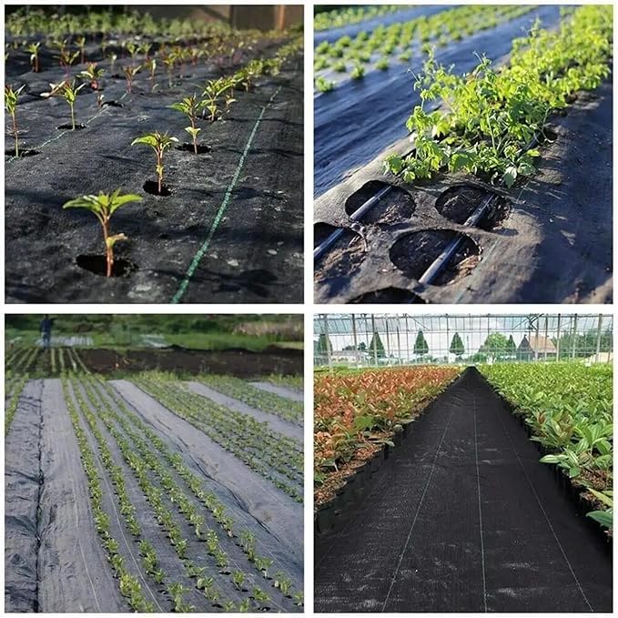 SIDDHI Weed Mat 1.2 Meter x 1.2 Meter Piece Weed Mat – Pieces,Laser Cut Hole with hot Sealing Half Center Line Cut,Center Hole 6 inch / 8 inch, Thickness 110 GSM Pack of (10, Black)-image-9
