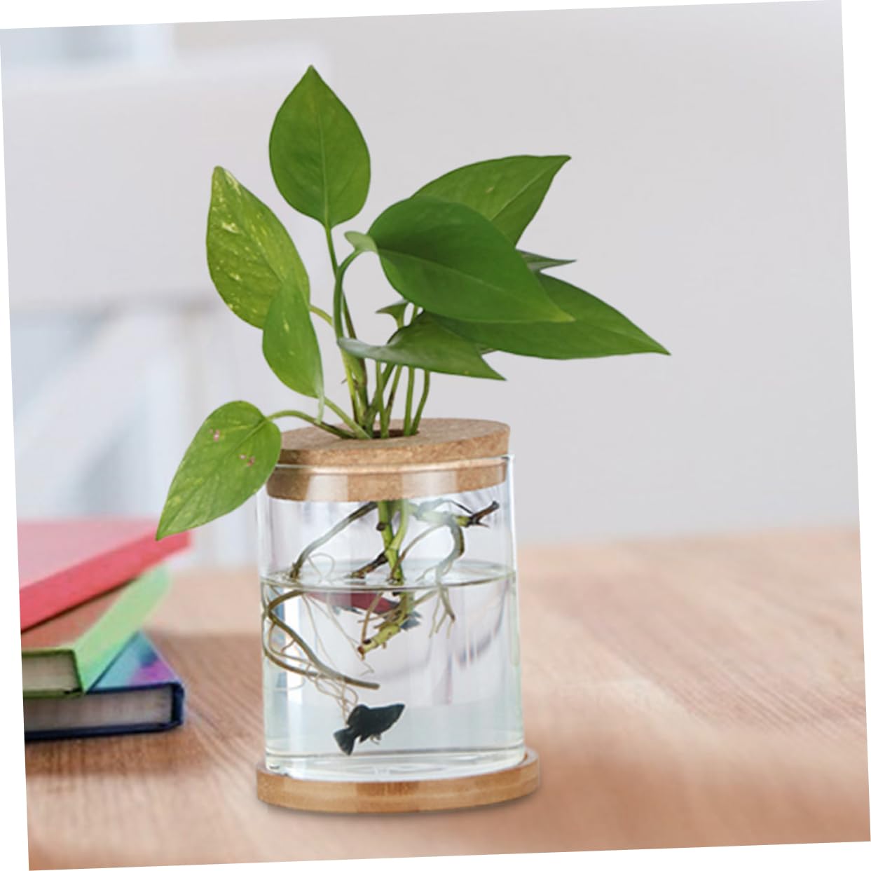 ORFOFE Bouchons en Liège et Matériau Naturel avec Trou Central Lot de 6 Design Polyvalent pour Vase en Verre Hydroponique pour Terrariums et Jardins Miniatures