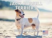 Vista 42 de Calendario de cachorro Golden Retriever 2027 mensual de pared de 12 meses