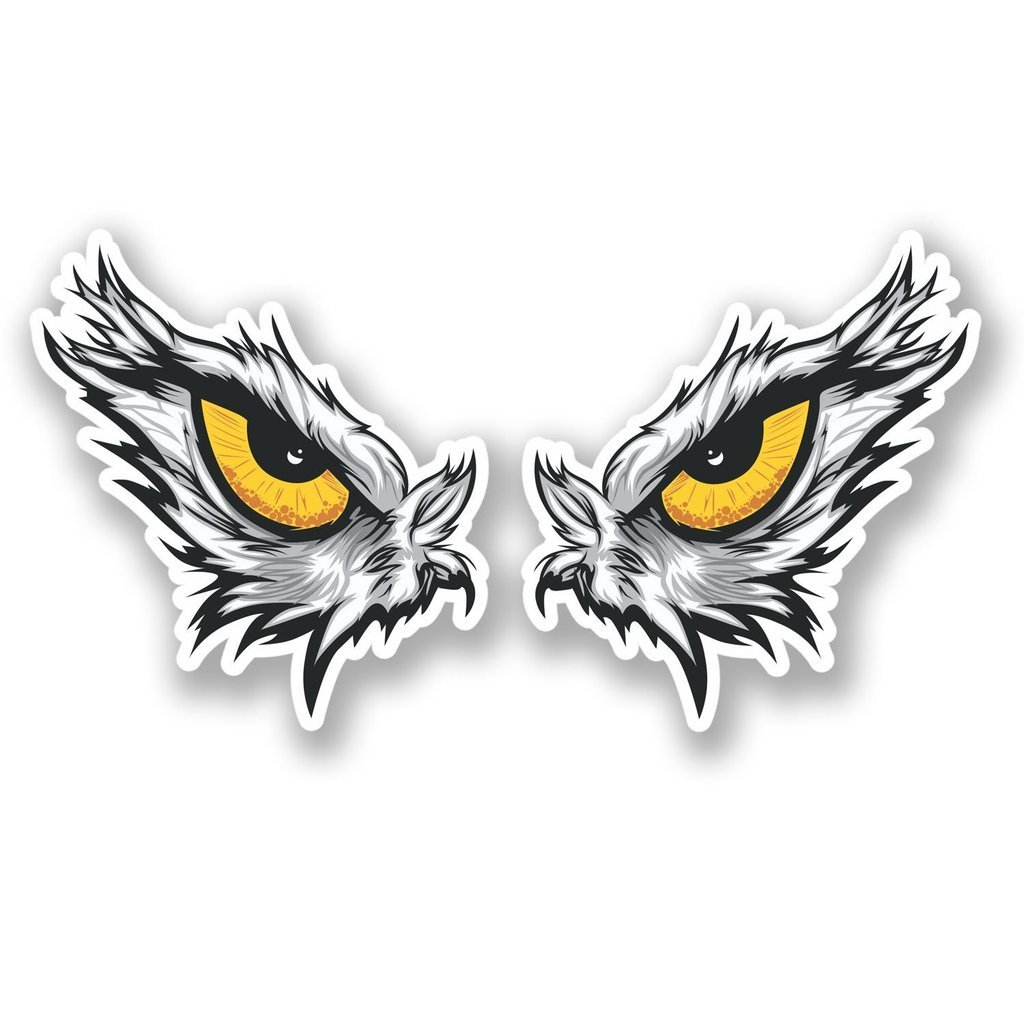 2 x 10cm/100mm Eagle Eye's Vinyl Sticker Decal Laptop Travel Luggage Car Bike Sign Fun #4455