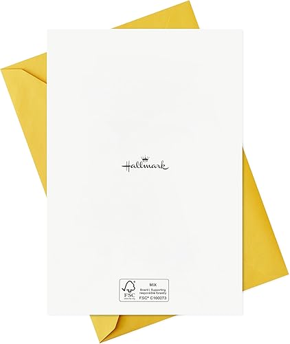 Miniatura 8 de Hallmark Tarjetas de felicitación surtidas (24 tarjetas con sobres) para graduaciones, promociones, compromisos, nuevos trabajos, anuncios de bebés