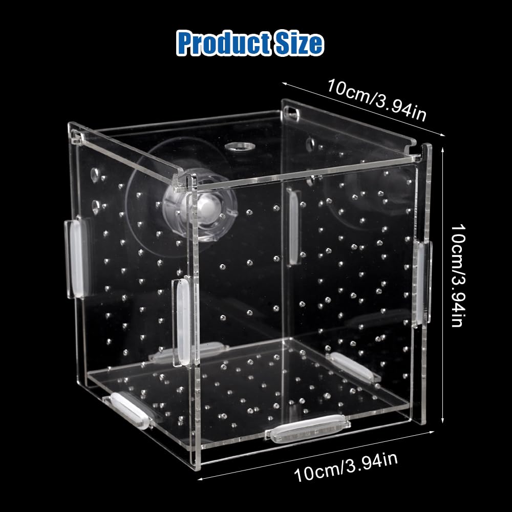 10 × 10 × 10cm Allevamento per Acquario con Ventosa, Mini Terrario per Insetti, Piccola Acrilico Scatola di Allevamento, Trasparente Sala Parto Acquario, per L'isolamento, la Schiusa, la Piscicoltura