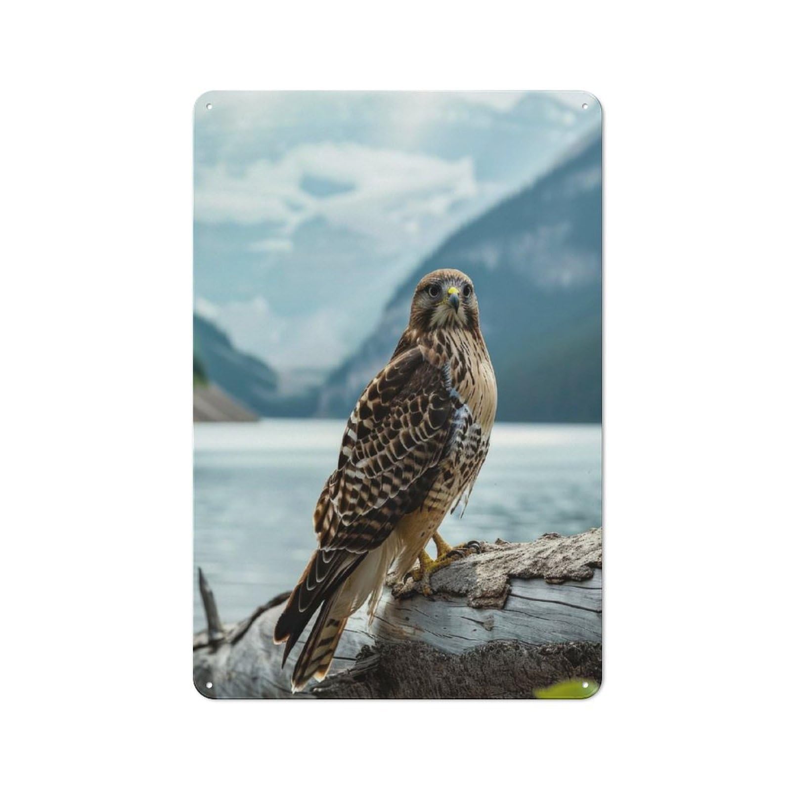 Junmoney Style Everyday Hawk Nea Lake Mountain Decorative Tin Plaque 30X20cm, Room Wall Plaque For Bedroom, Kitchen, Office Or Living Room