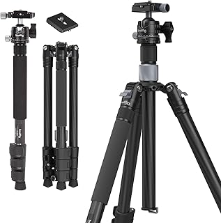 SmallRig Carbon Fiber Tripod with Center Column, Detachable Monopod, 360° Ball Head, Quick Release Plate, Load up to 26.5 lbs/12 kg - 4059