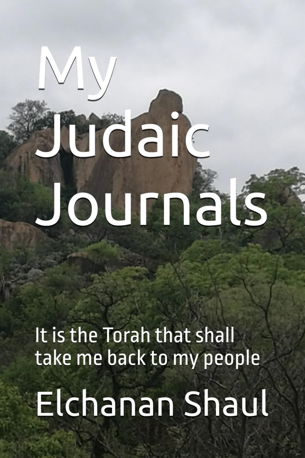 My Judaic Journals: It is the Torah that shall take me back to my people