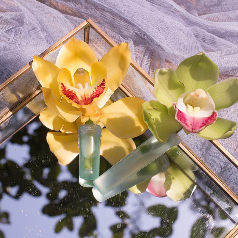 OFFSCH 100pezzi Pz Tubetti Per Fiori Freschi Tubetti Per Steli Floreali Conservazione Umidità Per Composizioni Floreali Materiale Resistente e Facile Da Usare