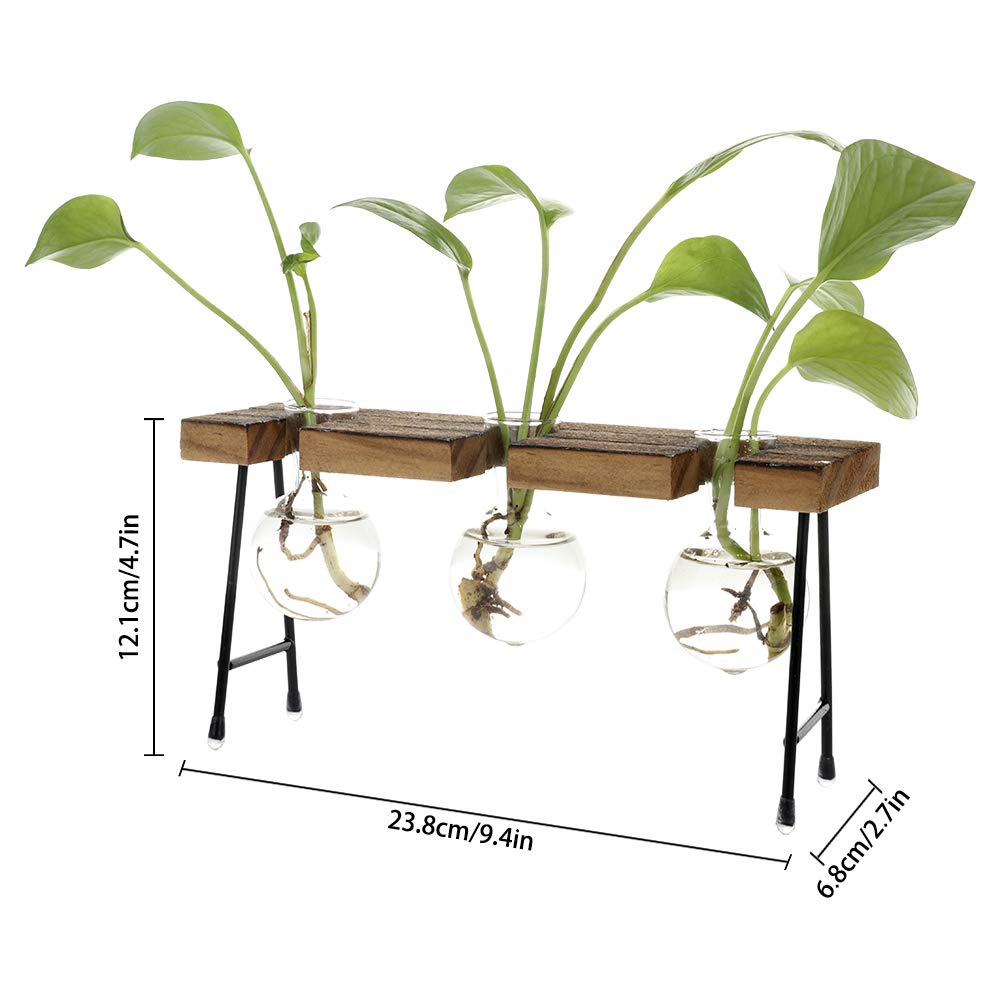 Takefuns Hydroponic Vase Water Propogating Vase Station Plant Terrarium
