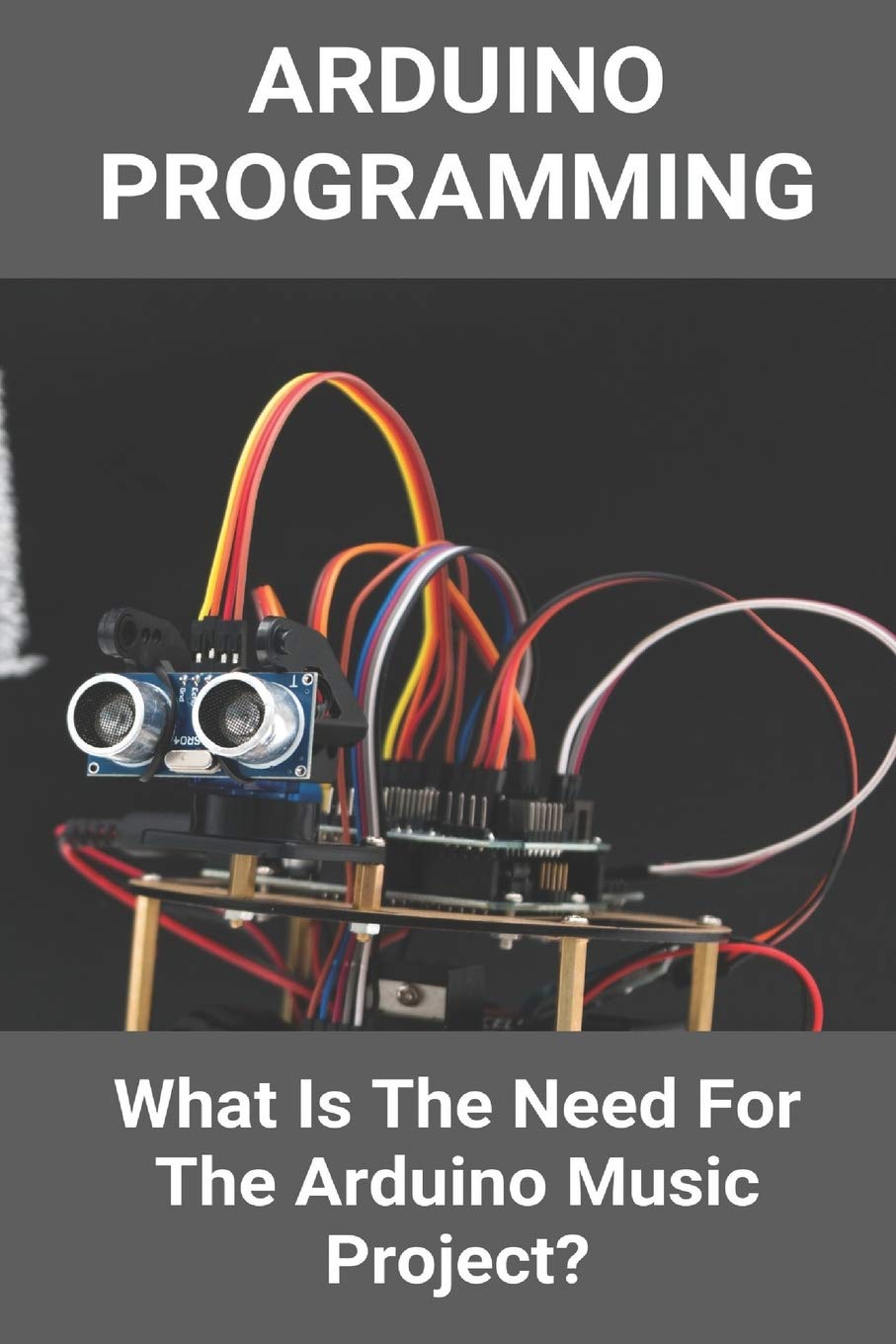 Arduino Programming What Is The Need For The Arduino Music | Desertcart ...