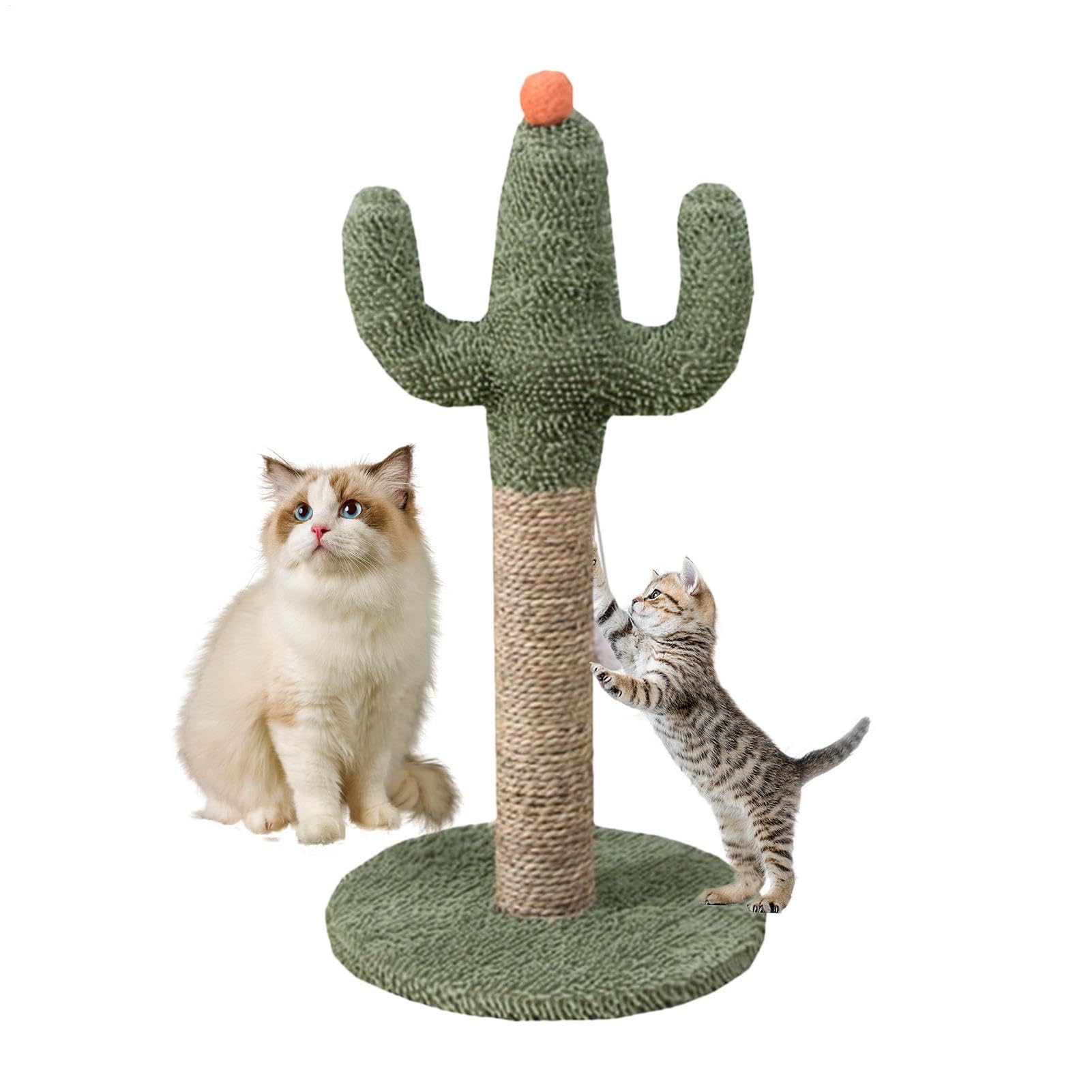 Arbre à chat cactus Teksome idéal pour le salon et le jeu des jeunes chatons