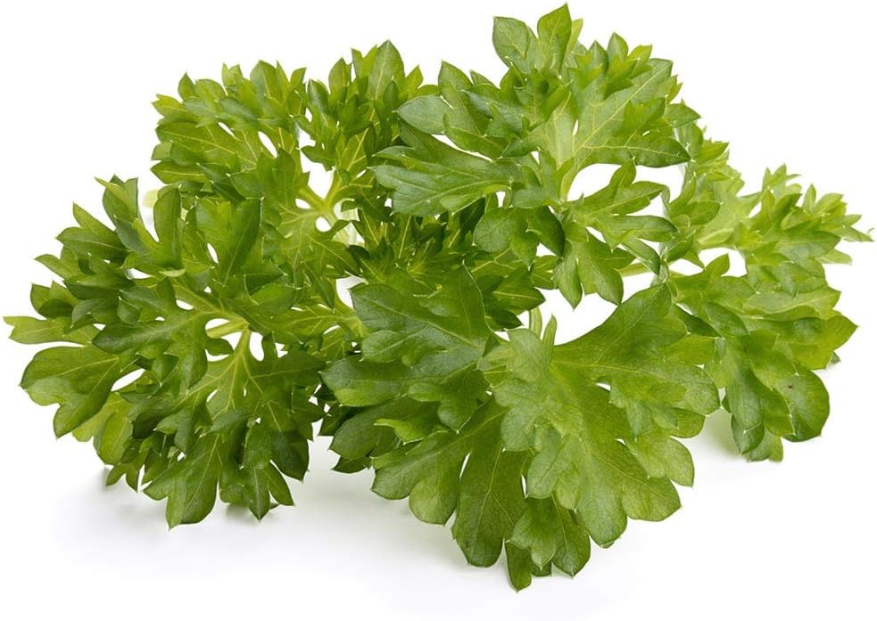 Click and GrowSmart Garden Parsley Plant Pods, 9-pack