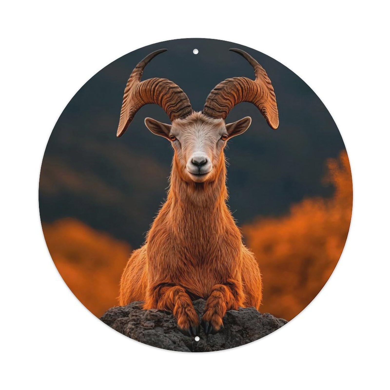 Alpine Ibex Wildlife Mountain Photography, Sunset Light Rocky Terrain Nature Vintage Metal Tin Sign Plaque Wall Decor for Cafe, Club Bar, Office, Garden Metal Poster 8x8Inch