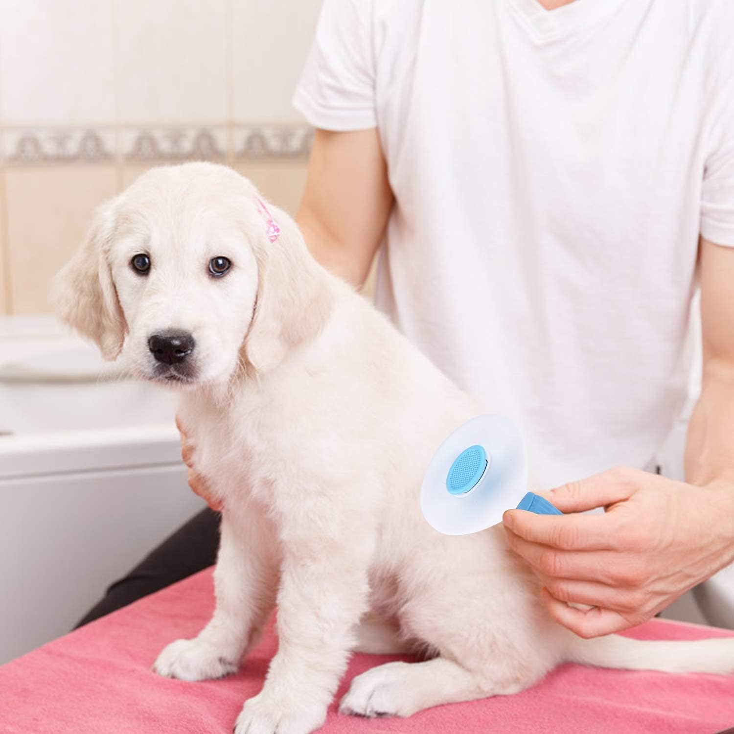 Aezta Self-Cleaning Slicker Brush, Pet Grooming Shedding Brush for Dogs and Cats—Cat Comb for Grooming, Deshedding, Bathing & Massaging 1
