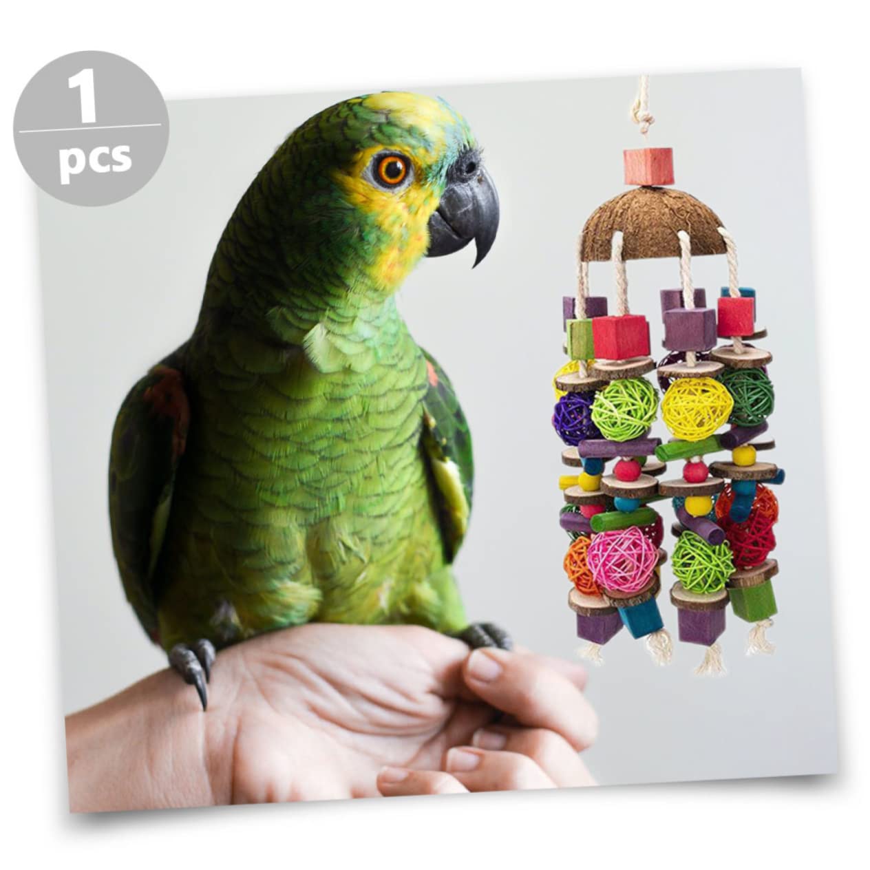 Jouet pour Perroquet Bois Suspendu Accessoire Noix De pour Oiseaux Jouet Jeu pour Cages De Oiseaux